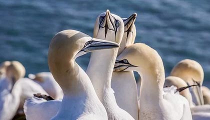 小论文返修模板网站（论文返修后的几种可能）