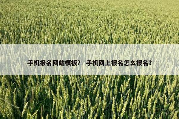 手机报名网站模板？ 手机网上报名怎么报名？