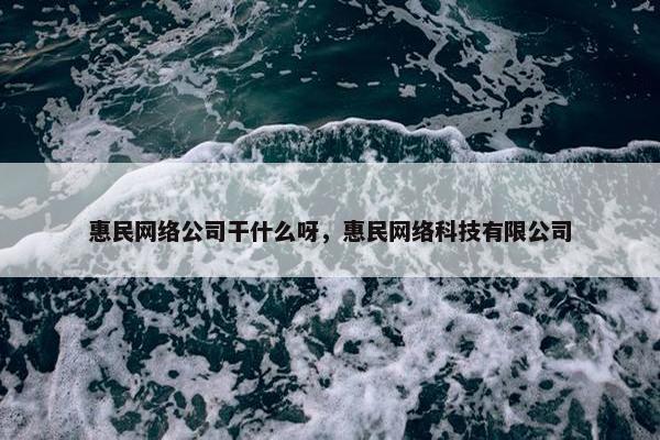 惠民网络公司干什么呀，惠民网络科技有限公司