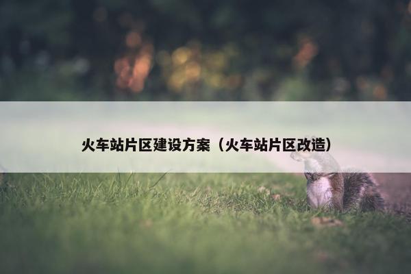 火车站片区建设方案（火车站片区改造）