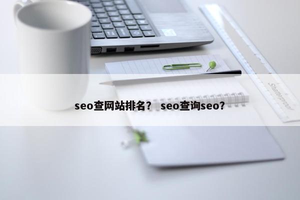 seo查网站排名？ seo查询seo？