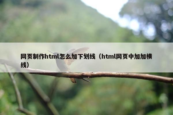 网页制作html怎么加下划线（html网页中加加横线）