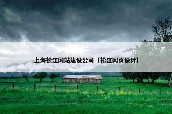 上海松江网站建设公司（松江网页设计）