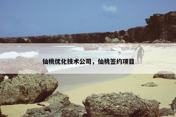 仙桃优化技术公司，仙桃签约项目