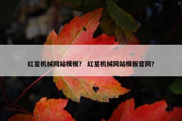 红星机械网站模板？ 红星机械网站模板官网？