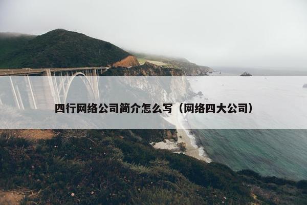 四行网络公司简介怎么写（网络四大公司）