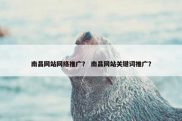 南昌网站网络推广？ 南昌网站关键词推广？