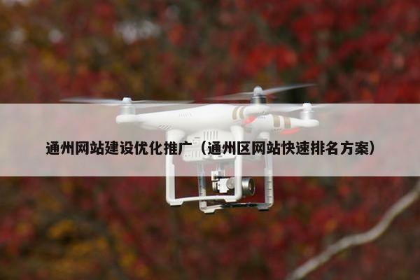 通州网站建设优化推广（通州区网站快速排名方案）