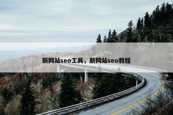 新网站seo工具，新网站seo教程