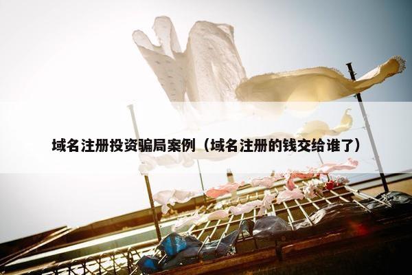 域名注册投资骗局案例（域名注册的钱交给谁了）