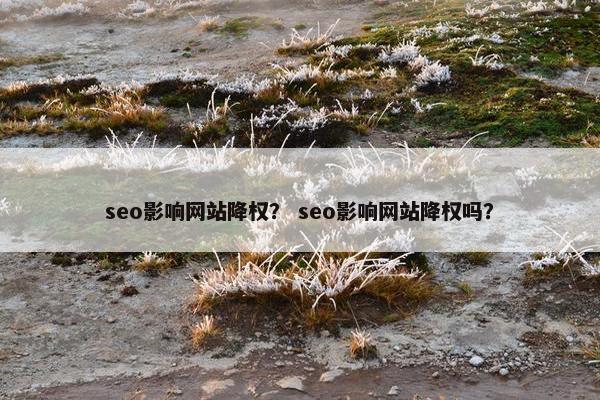 seo影响网站降权？ seo影响网站降权吗？
