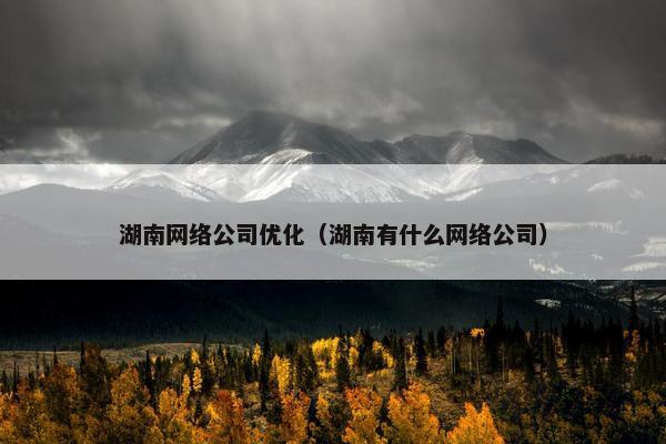 湖南网络公司优化（湖南有什么网络公司）