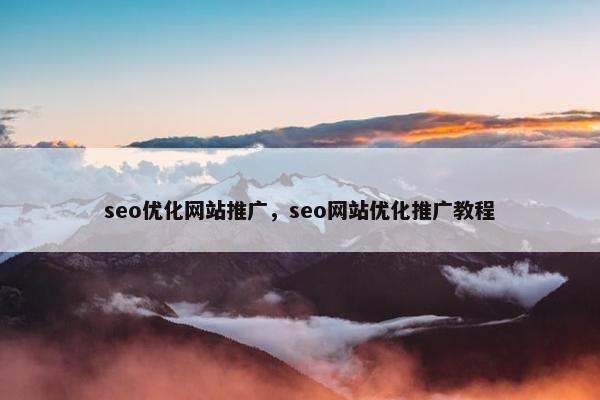seo优化网站推广，seo网站优化推广教程