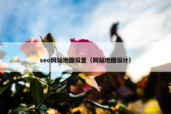 seo网站地图设置（网站地图设计）