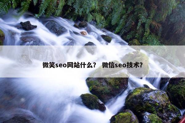 微笑seo网站什么？ 微信seo技术？