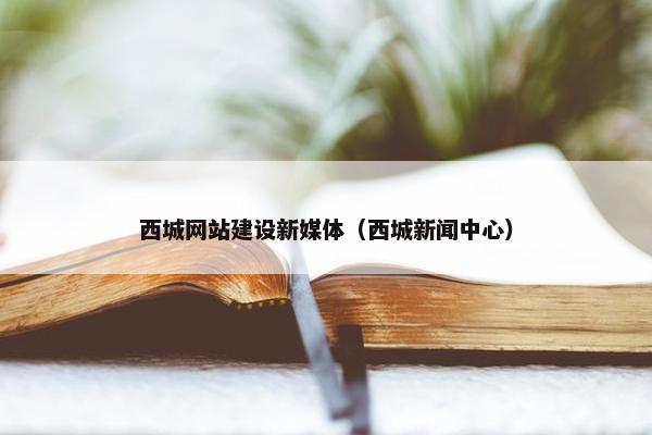 西城网站建设新媒体（西城新闻中心）