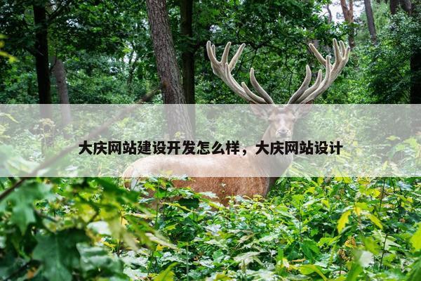 大庆网站建设开发怎么样，大庆网站设计
