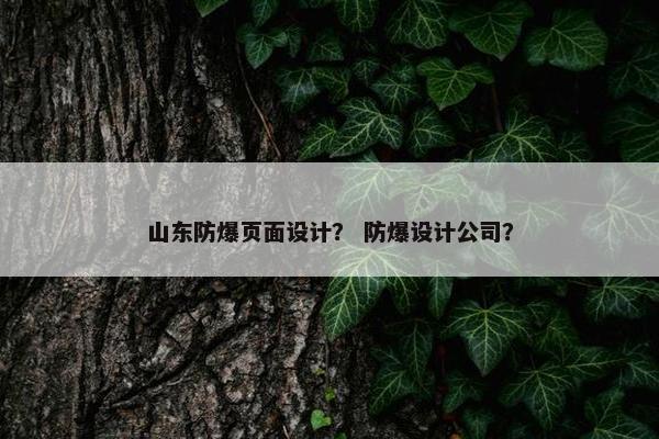 山东防爆页面设计？ 防爆设计公司？