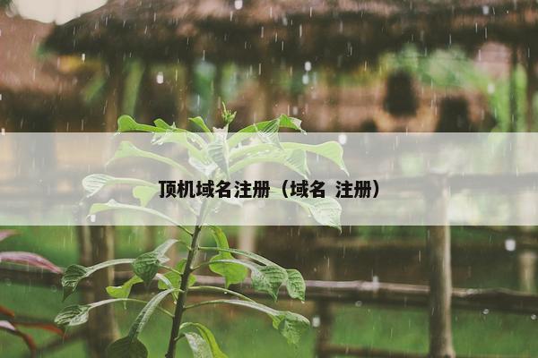 顶机域名注册（域名 注册）