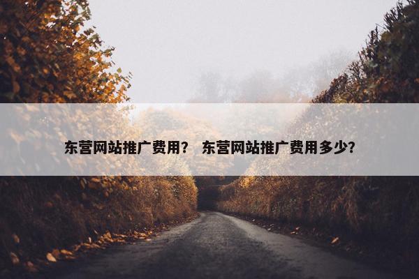 东营网站推广费用？ 东营网站推广费用多少？
