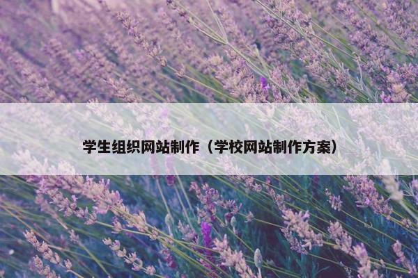 学生组织网站制作（学校网站制作方案）
