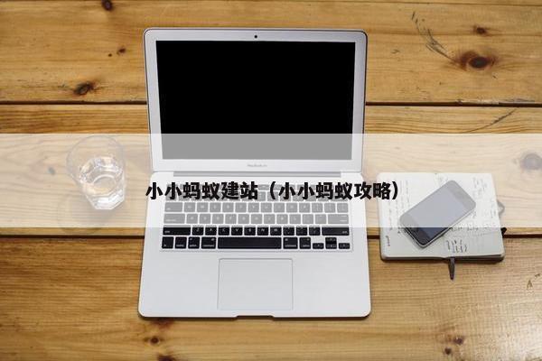 小小蚂蚁建站（小小蚂蚁攻略）