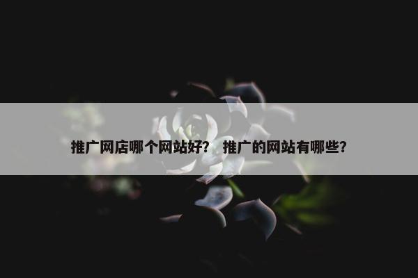 推广网店哪个网站好？ 推广的网站有哪些？