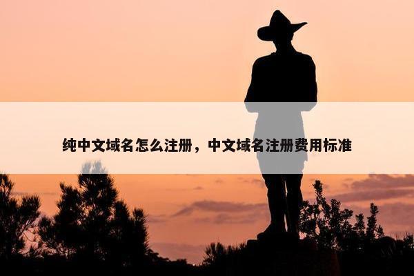 纯中文域名怎么注册，中文域名注册费用标准