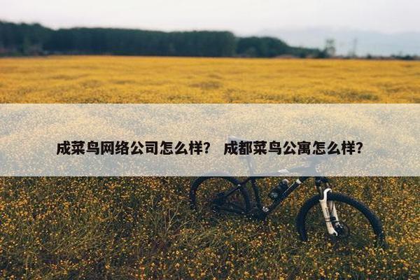 成菜鸟网络公司怎么样？ 成都菜鸟公寓怎么样？