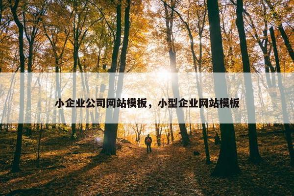 小企业公司网站模板，小型企业网站模板