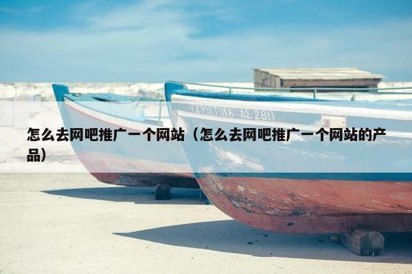 怎么去网吧推广一个网站（怎么去网吧推广一个网站的产品）