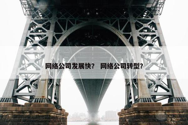 网络公司发展快？ 网络公司转型？