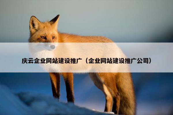 庆云企业网站建设推广（企业网站建设推广公司）
