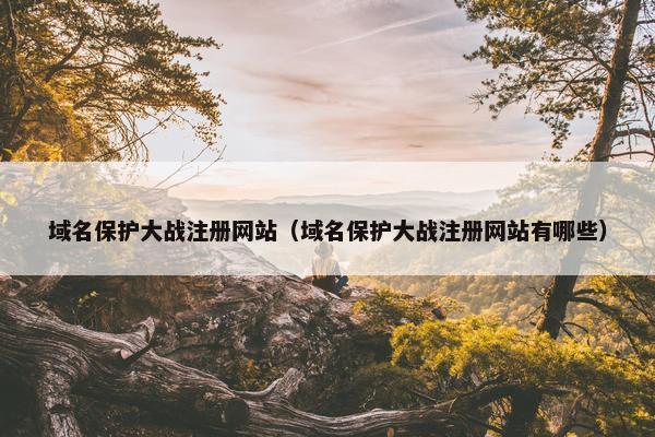 域名保护大战注册网站（域名保护大战注册网站有哪些）