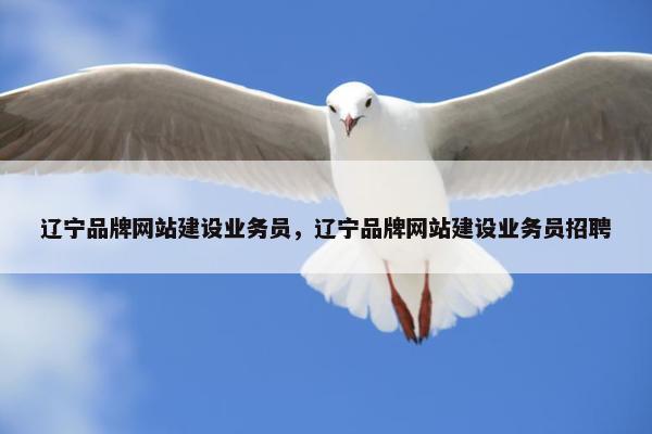 辽宁品牌网站建设业务员，辽宁品牌网站建设业务员招聘