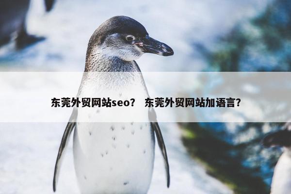 东莞外贸网站seo？ 东莞外贸网站加语言？