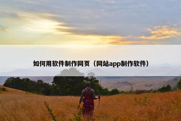 如何用软件制作网页（网站app制作软件）