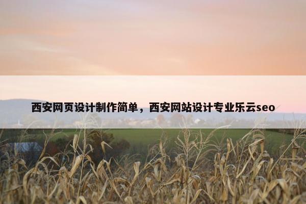 西安网页设计制作简单，西安网站设计专业乐云seo