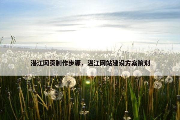 湛江网页制作步骤，湛江网站建设方案策划