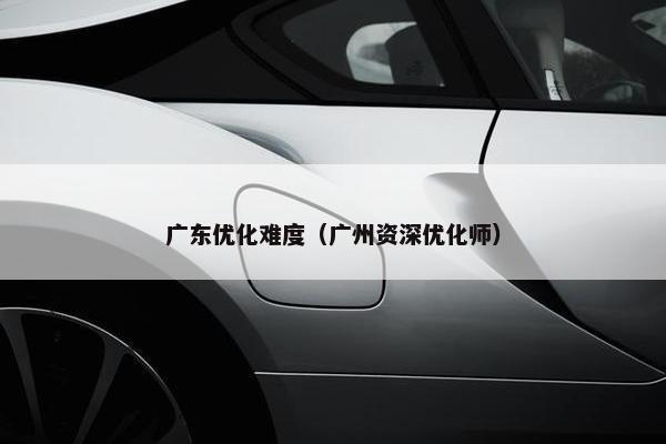 广东优化难度（广州资深优化师）
