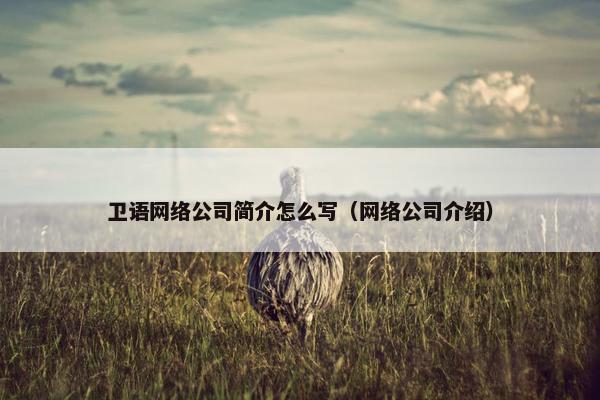 卫语网络公司简介怎么写（网络公司介绍）