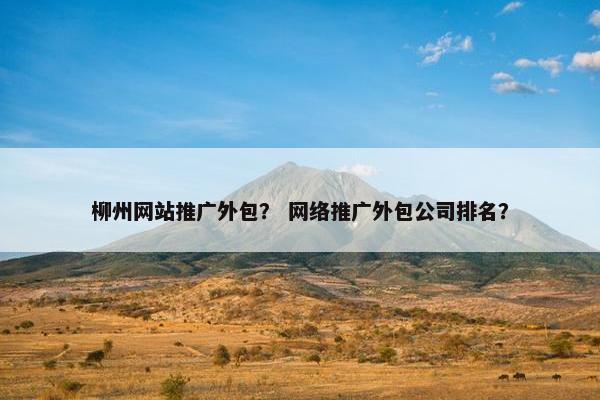 柳州网站推广外包？ 网络推广外包公司排名？