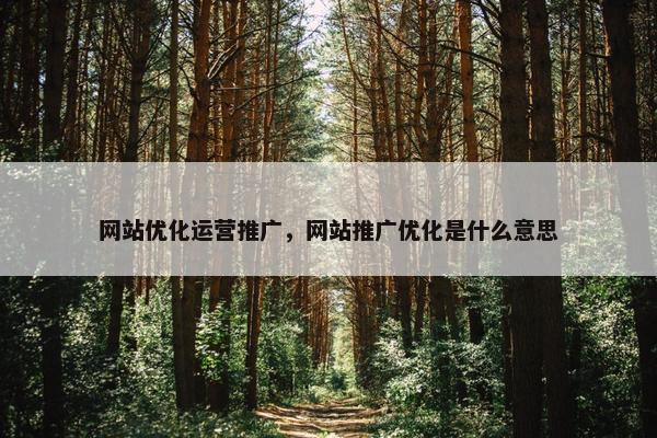 网站优化运营推广，网站推广优化是什么意思