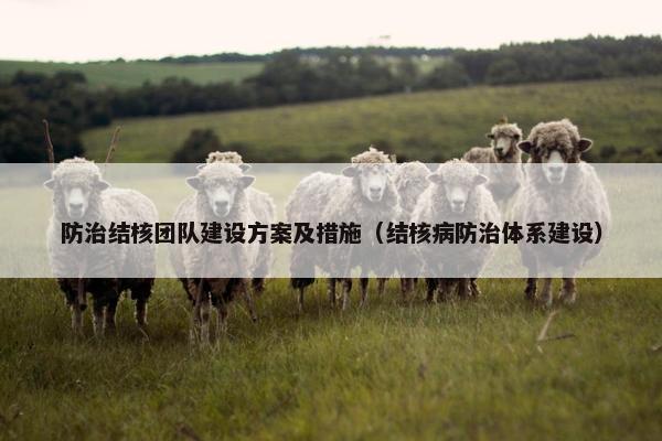 防治结核团队建设方案及措施（结核病防治体系建设）