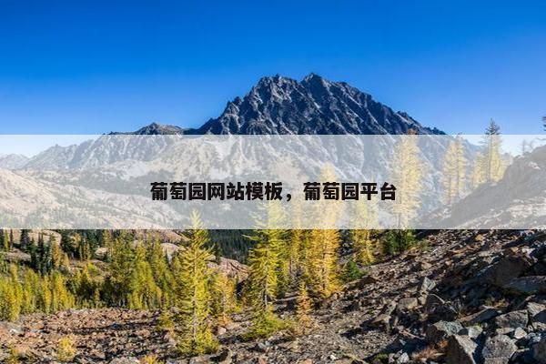 葡萄园网站模板，葡萄园平台