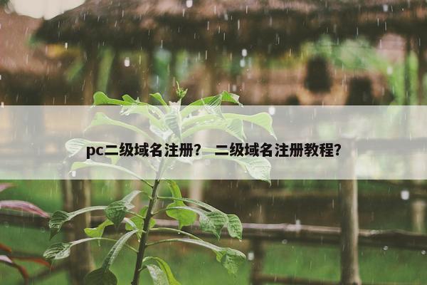 pc二级域名注册？ 二级域名注册教程？