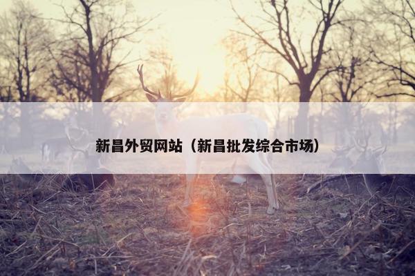 新昌外贸网站（新昌批发综合市场）