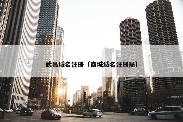 武昌域名注册（商城域名注册局）