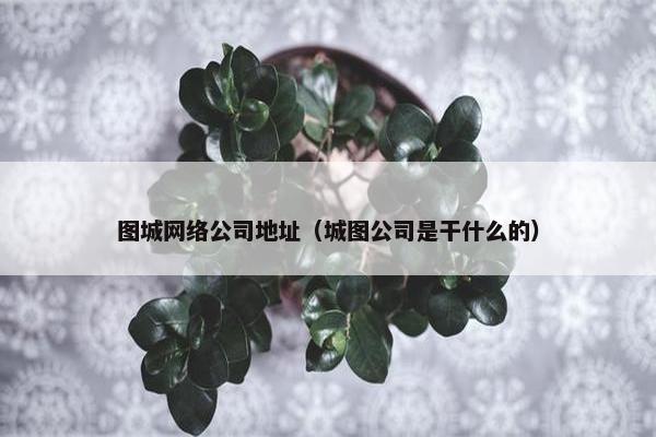 图城网络公司地址（城图公司是干什么的）