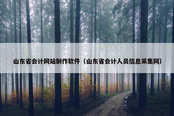 山东省会计网站制作软件（山东省会计人员信息采集网）